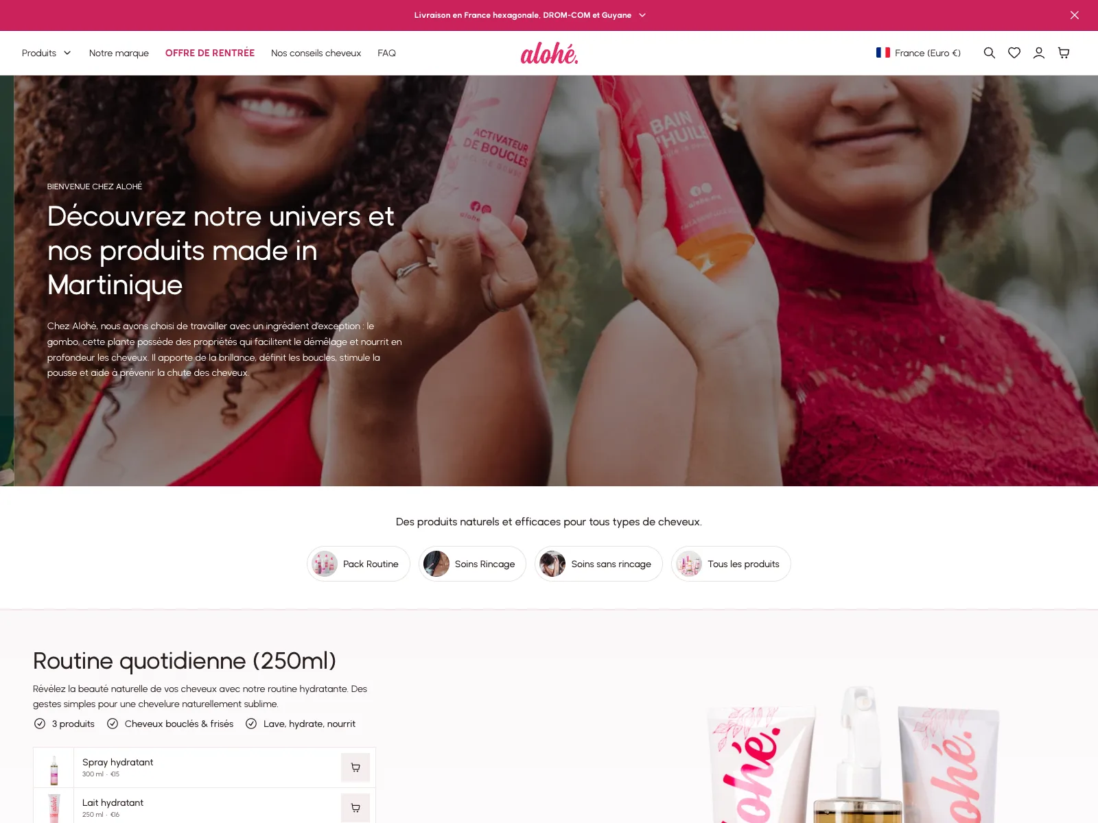Aperçu du site Alohé