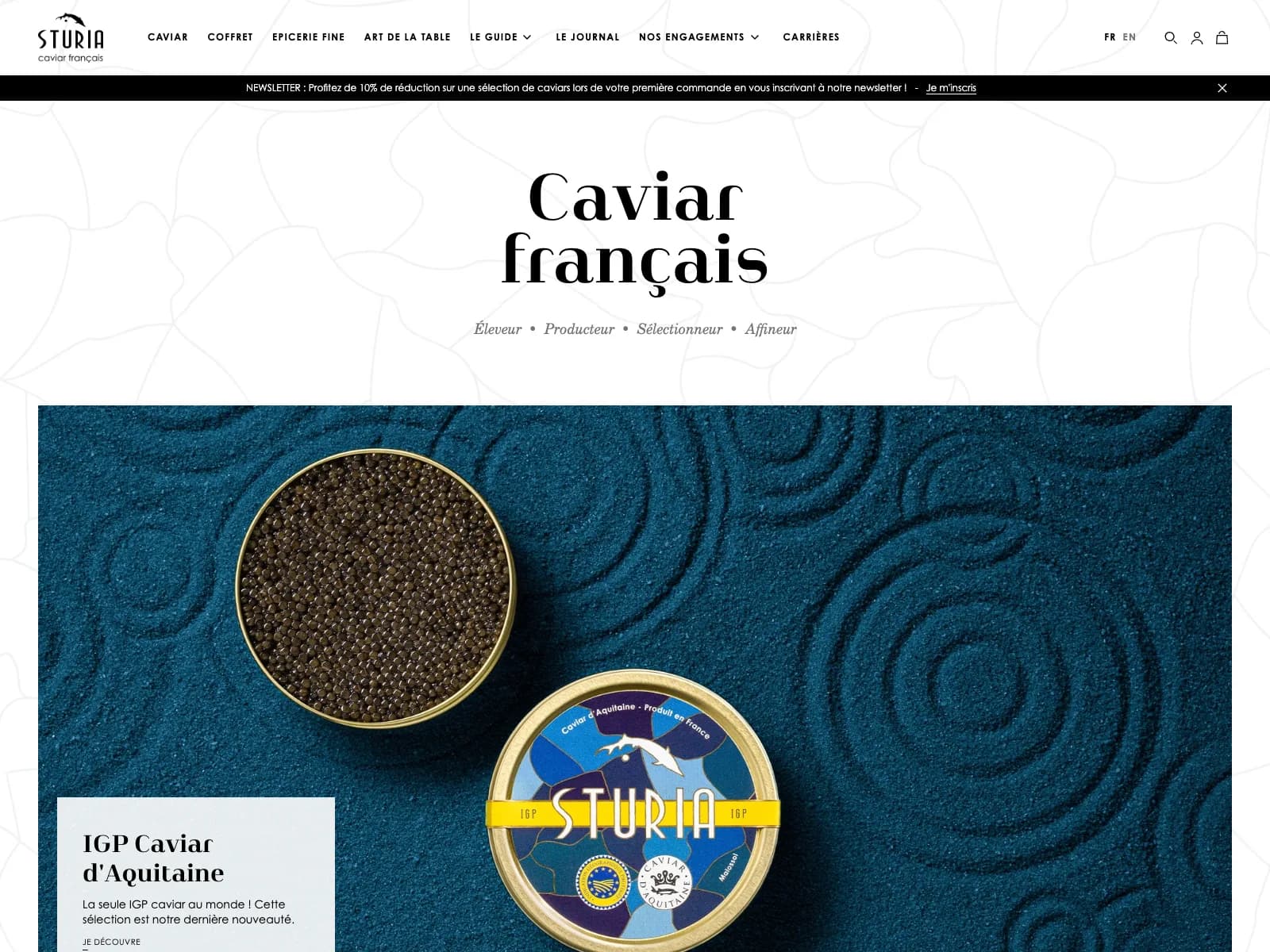Aperçu du site Sturia